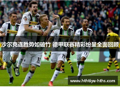 沙尔克连胜势如破竹 德甲联赛精彩纷呈全面回顾