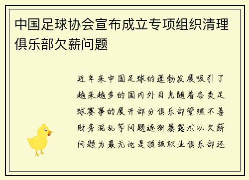 中国足球协会宣布成立专项组织清理俱乐部欠薪问题