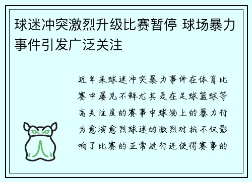 球迷冲突激烈升级比赛暂停 球场暴力事件引发广泛关注